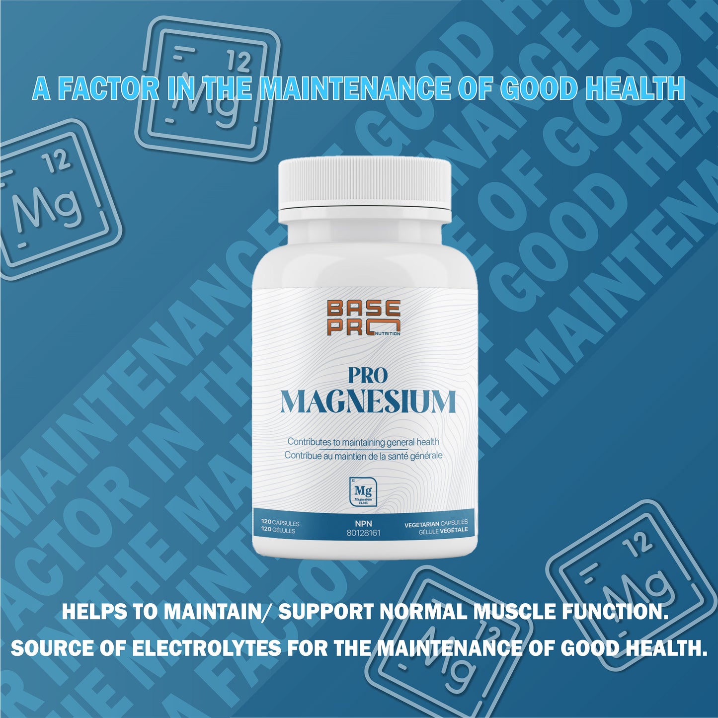 Pro Magnesium - Capsules - Base Pro Nutrition