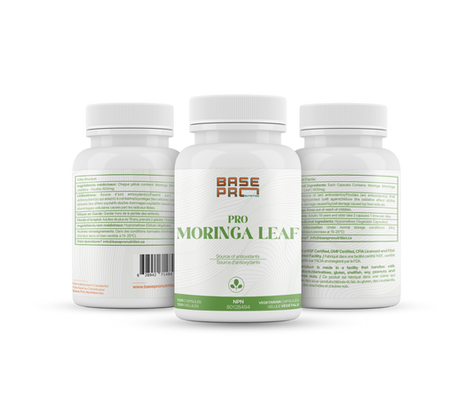 Pro Moringa Leaf - Capsules - Base Pro Nutrition