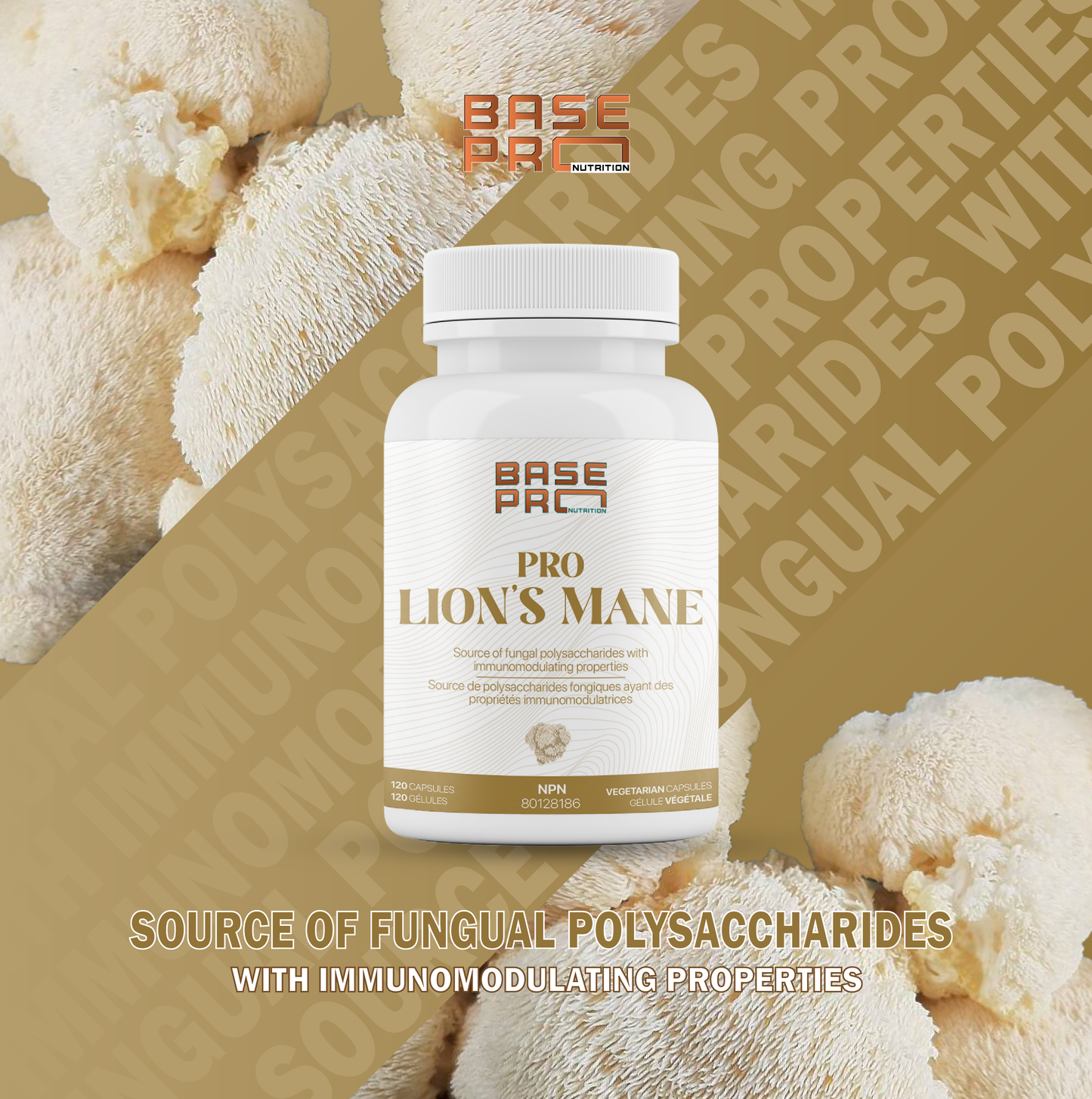 Pro Lion's Mane - Capsules - Base Pro Nutrition