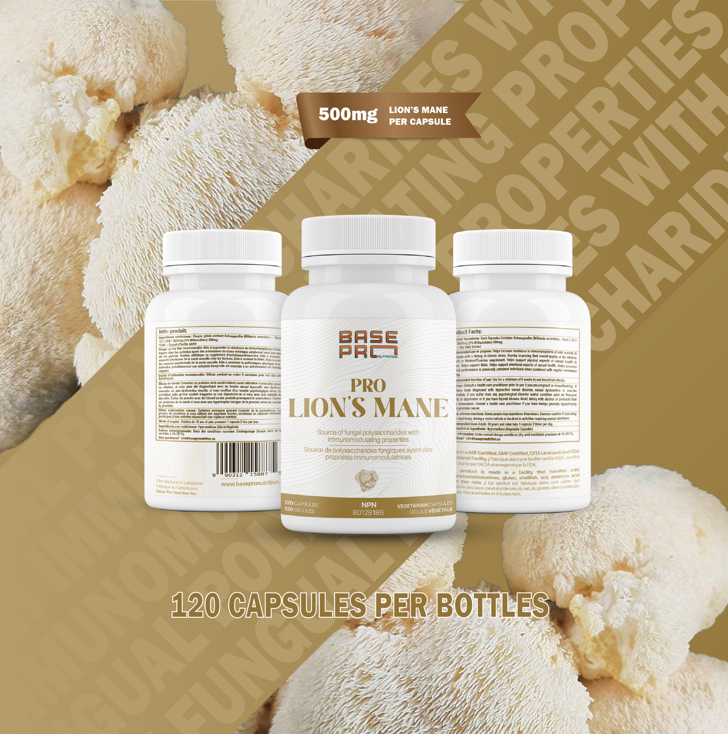 Pro Lion's Mane - Capsules - Base Pro Nutrition