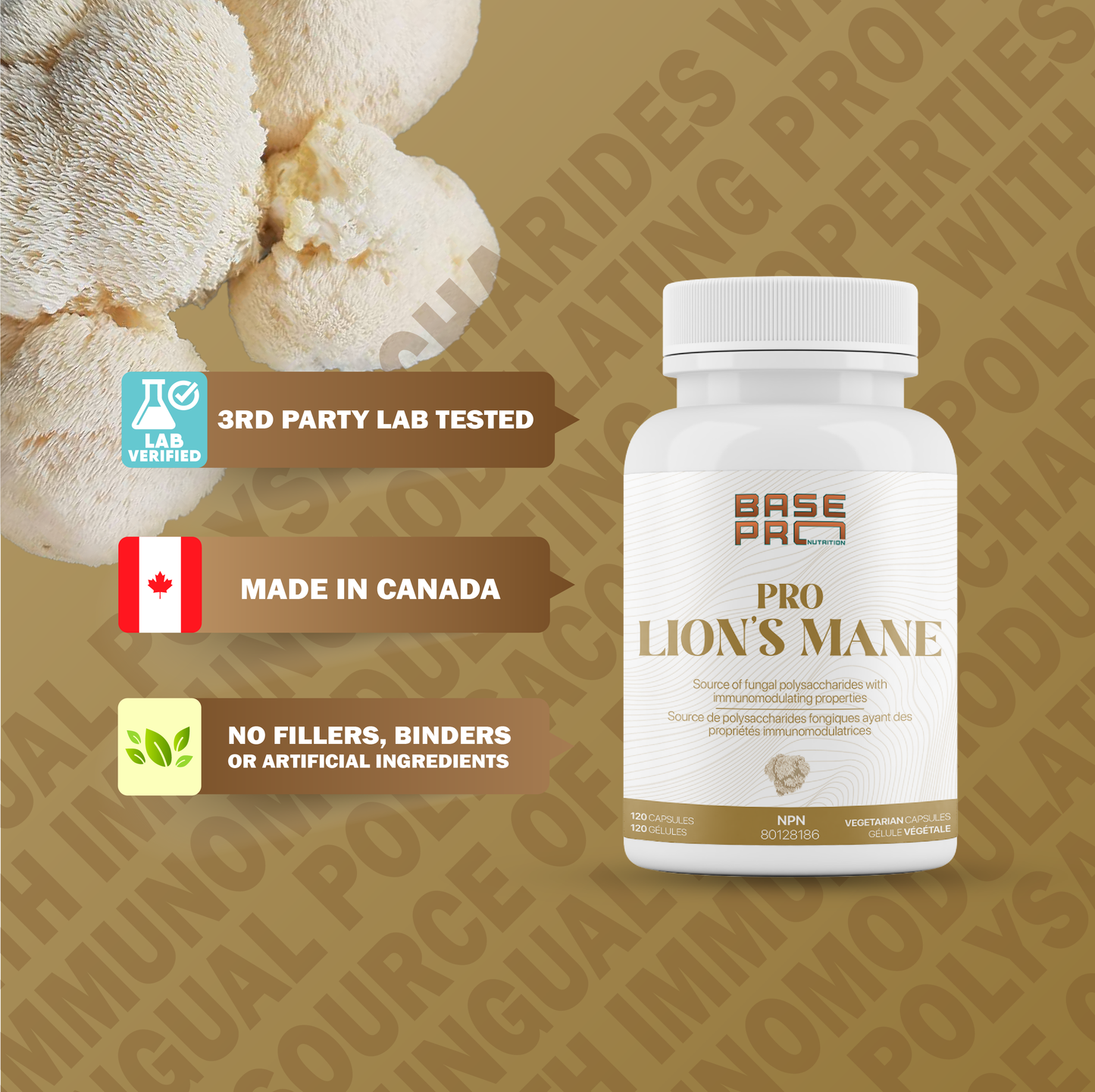 Pro Lion's Mane - Capsules - Base Pro Nutrition