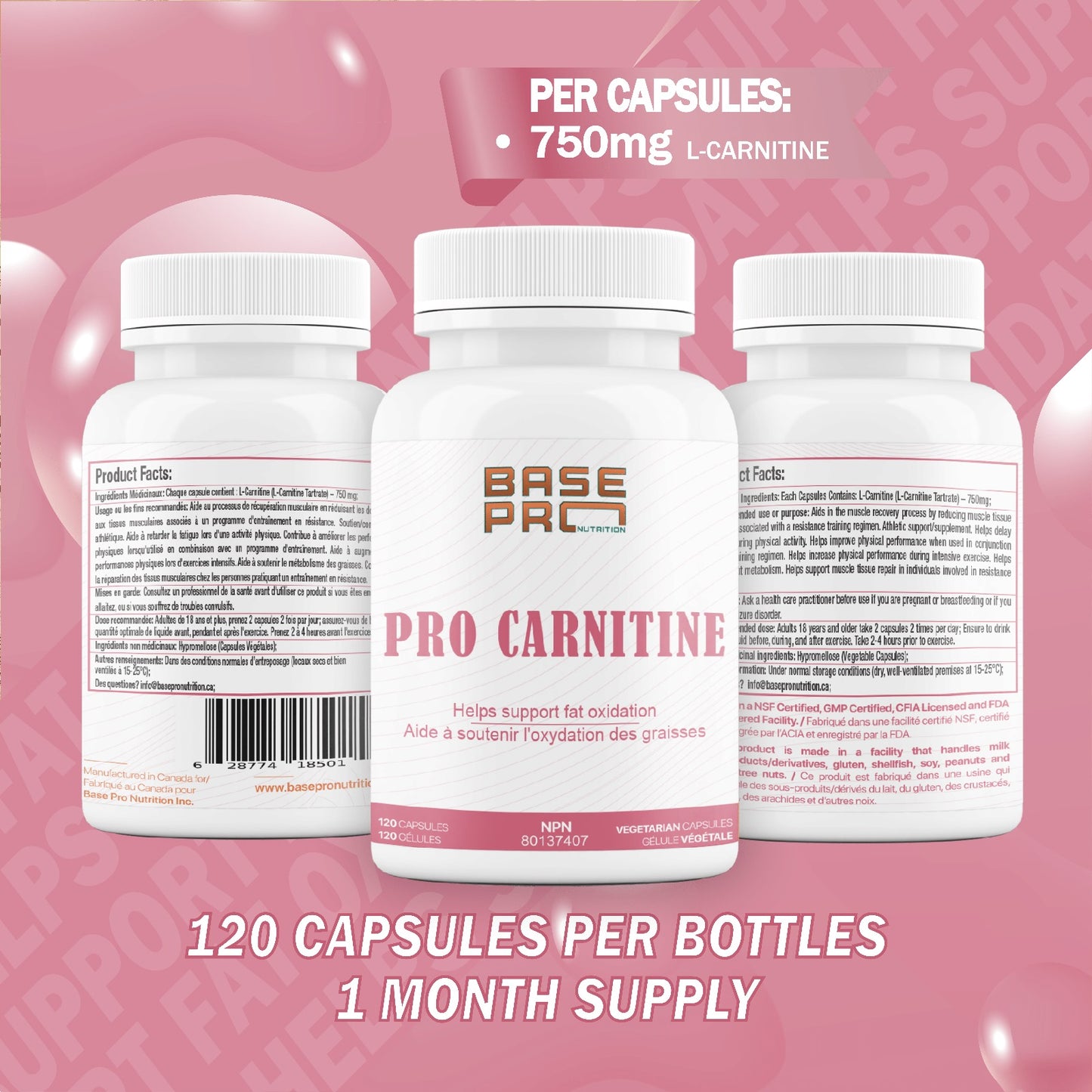 PRO Carnitine - 120 capsules - Base Pro Nutrition