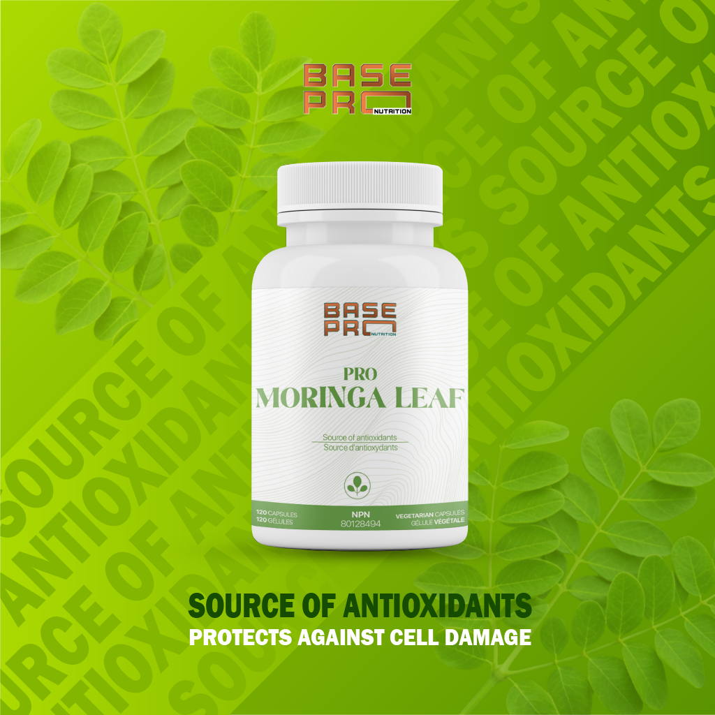 Pro Moringa Leaf - Capsules - Base Pro Nutrition