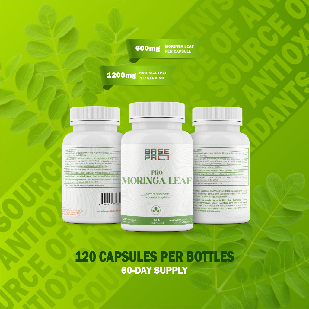 Pro Moringa Leaf - Capsules - Base Pro Nutrition