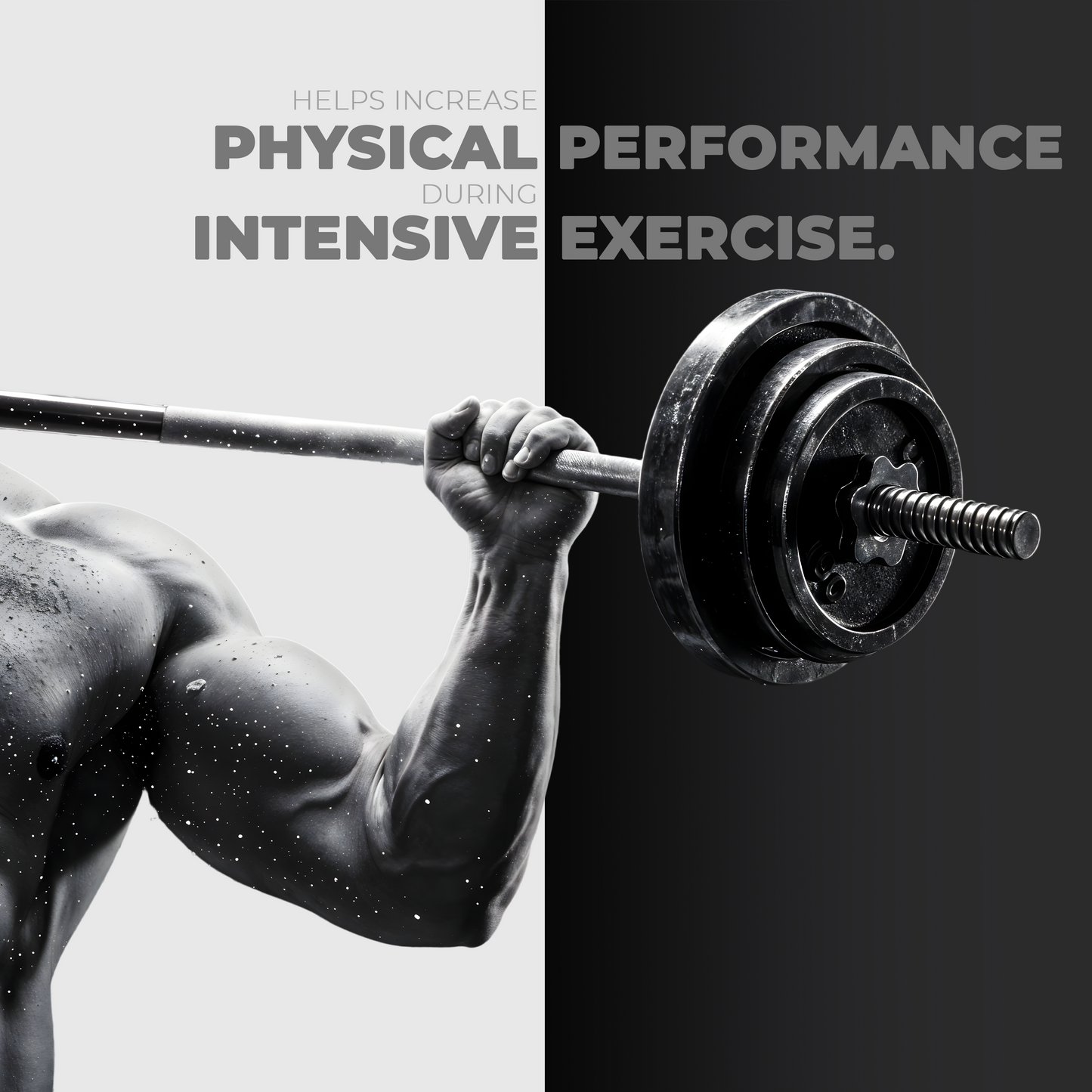 Pro Creatine Monohydrate