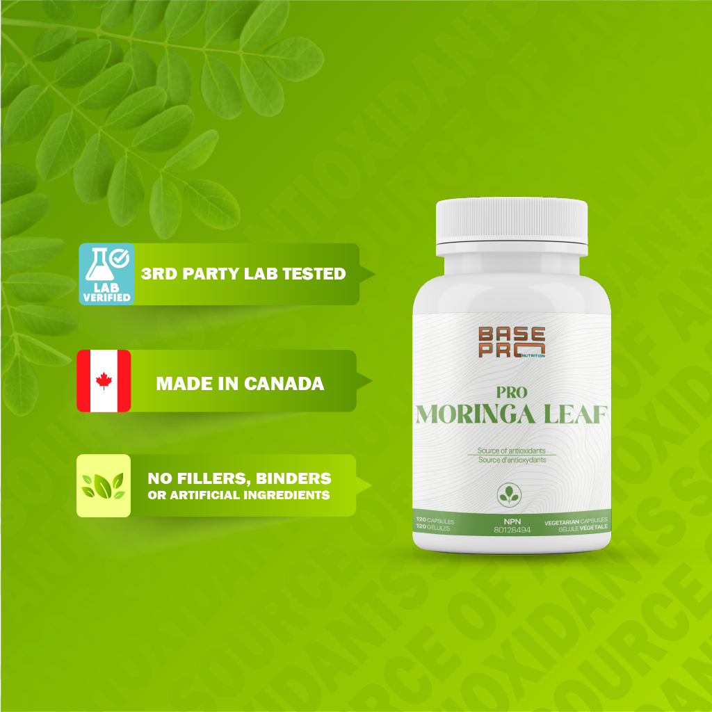 Pro Moringa Leaf - Capsules - Base Pro Nutrition