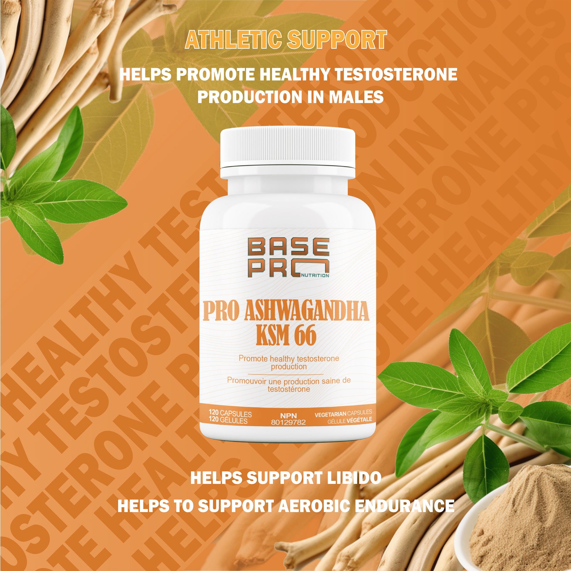 Pro KSM-66 Ashwagandha - 120 capsules - Base Pro Nutrition