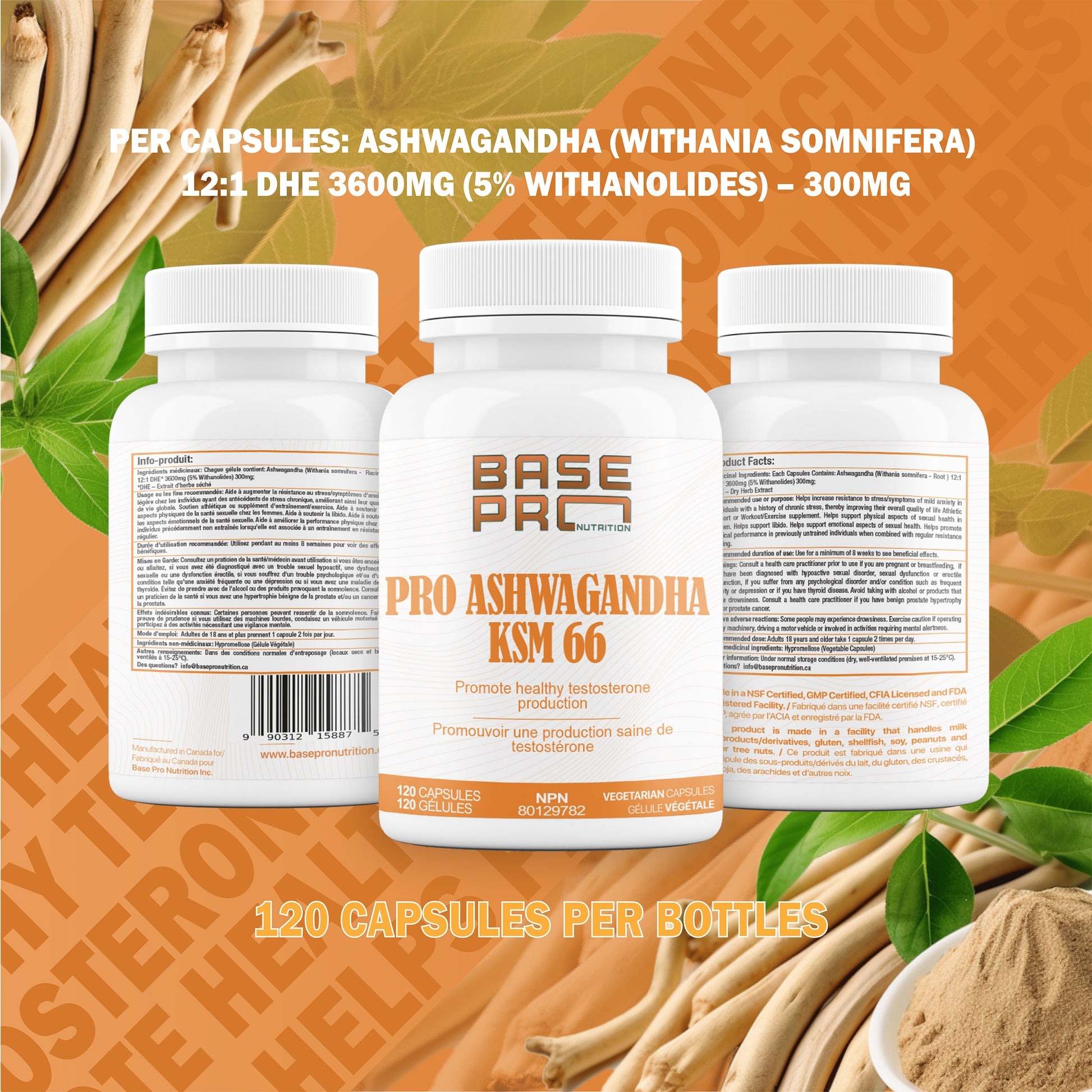 Pro KSM-66 Ashwagandha - 120 capsules - Base Pro Nutrition