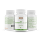 Pro Moringa Leaf - Capsules - Base Pro Nutrition