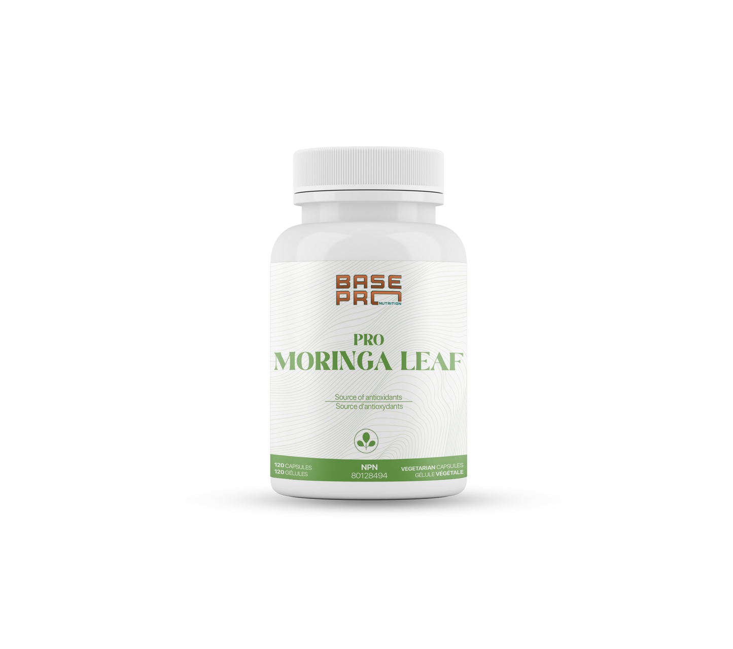 Pro Moringa Leaf - Capsules - Base Pro Nutrition